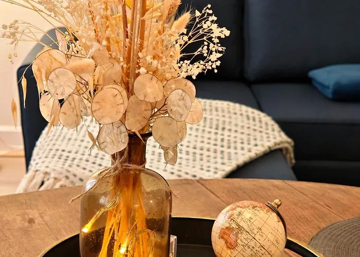 Le Cosy - 4 Pers - Wifi - Centre * Limoux